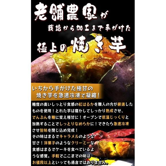 甘熟冷凍蜜芋 約500g×4パック 冷凍焼き芋 紅はるか 千葉県産 調理済み 冷凍便配送 食べやすい一口サイズ！とろける食感と溢れる甘さ 冷凍さつまいも03