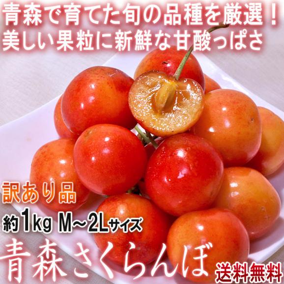 青森さくらんぼ 約1kg M~2Lサイズ 青森県産 訳あり品 佐藤錦・紅秀峰・花駒・正光錦など旬のサクランボを厳選!02