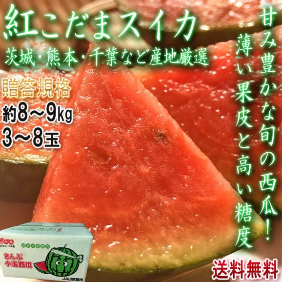 紅こだま西瓜 小玉スイカ 約8～9kg 3～8玉入り 贈答規格 産地厳選 旬の産地で育てた抜群の味と甘さ！全国より厳選した人気品種のすいかをお届け02