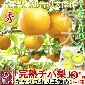プレミアム 完熟梨 千葉県産 約3kg 3～6玉 手詰め 贈答規格 幸水・豊水・秋月・新高・かおり 日本一のナシ出荷量を誇る千葉県内より産地厳選！