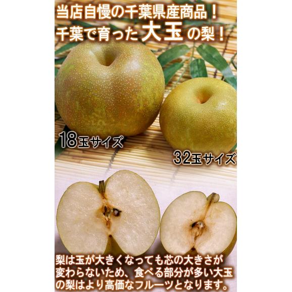 プレミアム 完熟梨 千葉県産 約3kg 3～6玉 手詰め 贈答規格 幸水・豊水・秋月・新高・かおり 日本一のナシ出荷量を誇る千葉県内より産地厳選！05