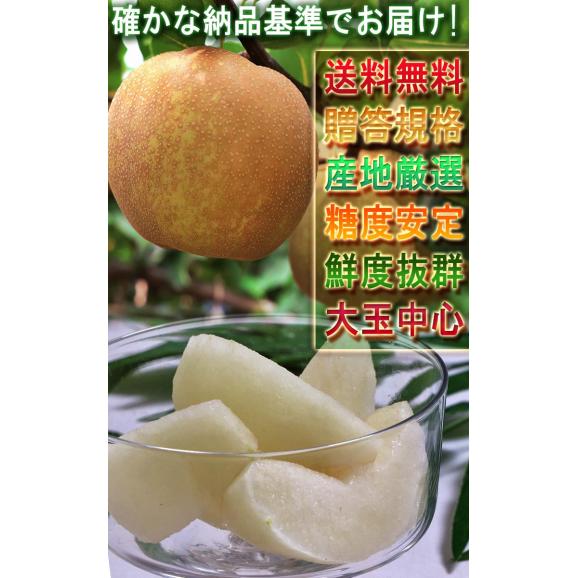 プレミアム 完熟梨 千葉県産 約3kg 3～6玉 手詰め 贈答規格 幸水・豊水・秋月・新高・かおり 日本一のナシ出荷量を誇る千葉県内より産地厳選！06