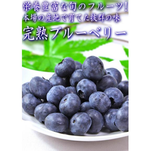 国産ブルーベリー 約1kg 青森県産中心 完熟限定 産地厳選 全国の産地で育てた甘み豊かな旬のブルーベリーをお届け！02