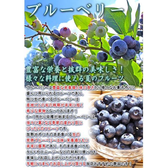 国産ブルーベリー 約1kg 青森県産中心 完熟限定 産地厳選 全国の産地で育てた甘み豊かな旬のブルーベリーをお届け！03