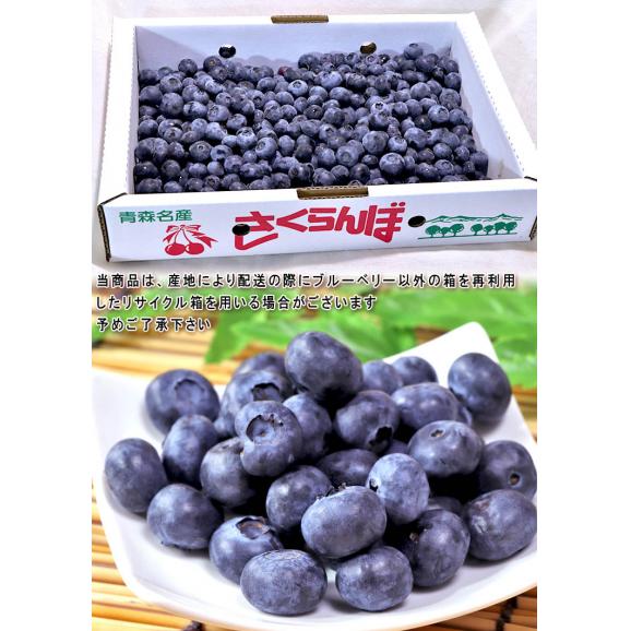 国産ブルーベリー 約1kg 青森県産中心 完熟限定 産地厳選 全国の産地で育てた甘み豊かな旬のブルーベリーをお届け！04