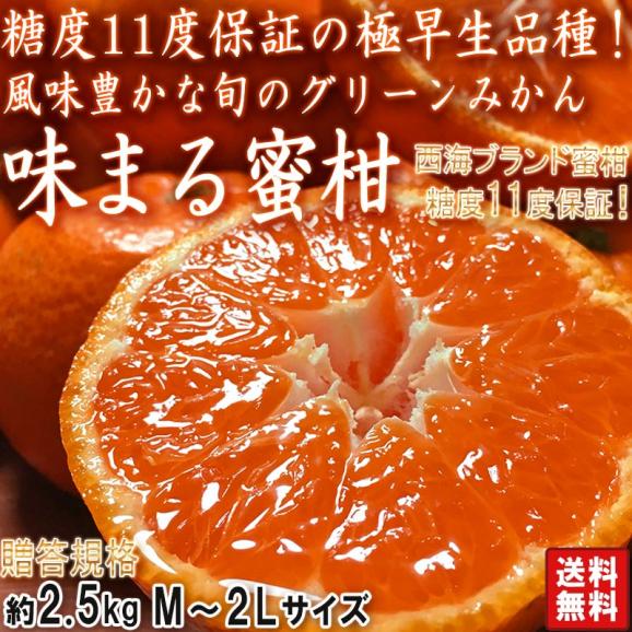 極早生 味まる蜜柑 約2.5kg M～2Lサイズ 長崎県産 贈答規格 JAながさき西海 糖度保証で安定した甘さ！爽やかな風味の西海ブランドみかん02