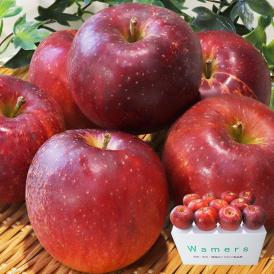 紅いわて 赤りんご 訳あり 約5kg 18〜24玉 岩手県産 抜群の味わいを誇る特産品！鮮やかな見た目と豊かな甘み リンゴ