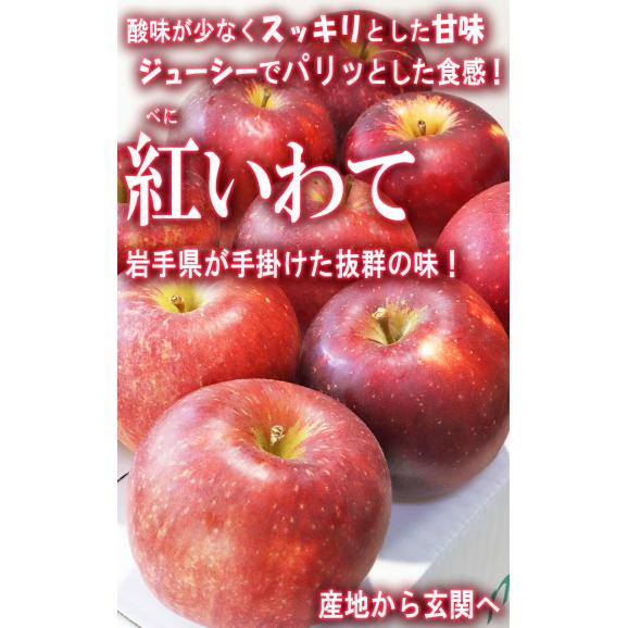 紅いわて 赤りんご 訳あり 約5kg 18〜24玉 岩手県産 抜群の味わいを誇る特産品！鮮やかな見た目と豊かな甘み リンゴ02