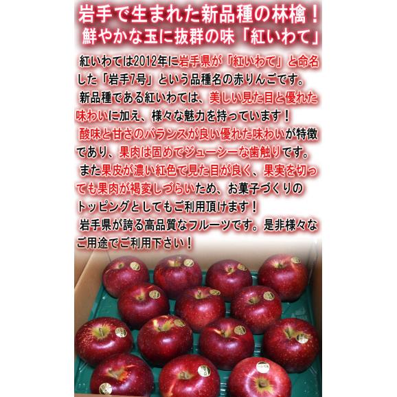 紅いわて 赤りんご 訳あり 約5kg 18〜24玉 岩手県産 抜群の味わいを誇る特産品！鮮やかな見た目と豊かな甘み リンゴ04