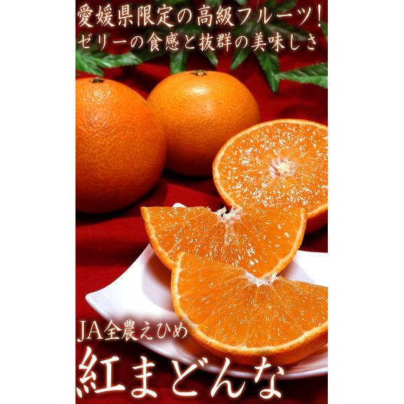 紅まどんな 約3kg 12～18玉 愛媛県産 秀品 JA全農えひめ 贈答品 化粧箱入り ギフト最適な温室栽培の紅まどんな！とろとろの果肉に抜群の美味しさ02