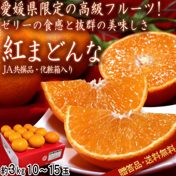 紅まどんな 約3kg 10～15玉 贈答品 愛媛県産 秀品 JA全農えひめ 化粧箱入り ギフト最適な温室栽培の高級フルーツ！とろける食感に抜群の甘さと美味しさ02