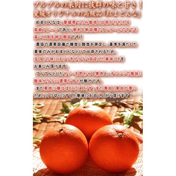 紅まどんな 約3kg 12～18玉 愛媛県産 秀品 JA全農えひめ 贈答品 化粧箱入り ギフト最適な温室栽培の紅まどんな！とろとろの果肉に抜群の美味しさ03