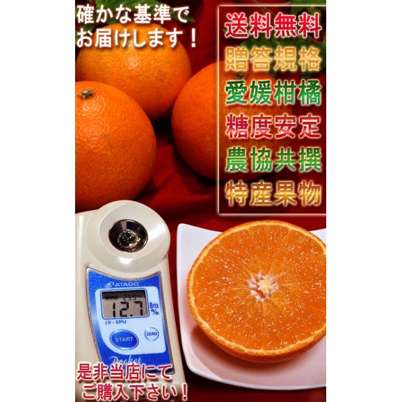 紅まどんな 約3kg 12～18玉 愛媛県産 秀品 JA全農えひめ 贈答品 化粧箱入り ギフト最適な温室栽培の紅まどんな！とろとろの果肉に抜群の美味しさ05