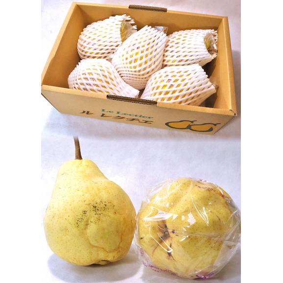 ル・レクチェ 西洋梨 約2kg 3~8玉 新潟県産 訳あり品 本場で育てたお求めやすい家庭用フルーツ!抜群の味にとろける食感03