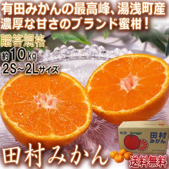田村みかん 厳選有田ミカン 約10kg 2S～2Lサイズ 和歌山県産 湯浅町産限定 甘み豊かなブランド蜜柑！最高峰の産地で育てた抜群の味02