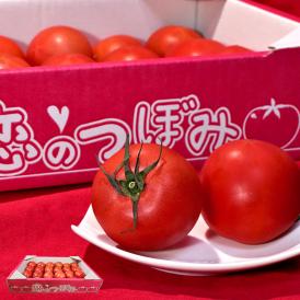 恋のつぼみ フルーツトマト 約1kg 20～28玉入り 茨城県産 JAなめがたしおさい 甘さと旨味が凝縮した爽やかな風味のブランド野菜！