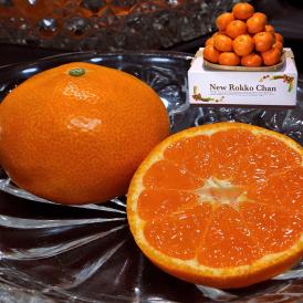 四天王みかん 約3kg S～Lサイズ 愛媛県産 特秀品限定 JAにしうわ 糖度保証 えひめの西宇和が誇る上位ブランドの蜜柑を厳選！最高峰の味と甘さ