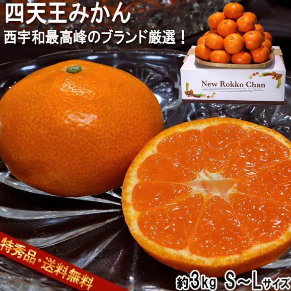 四天王みかん 約3kg S～Lサイズ 愛媛県産 特秀品限定 JAにしうわ 糖度保証 えひめの西宇和が誇る上位ブランドの蜜柑を厳選！最高峰の味と甘さ02