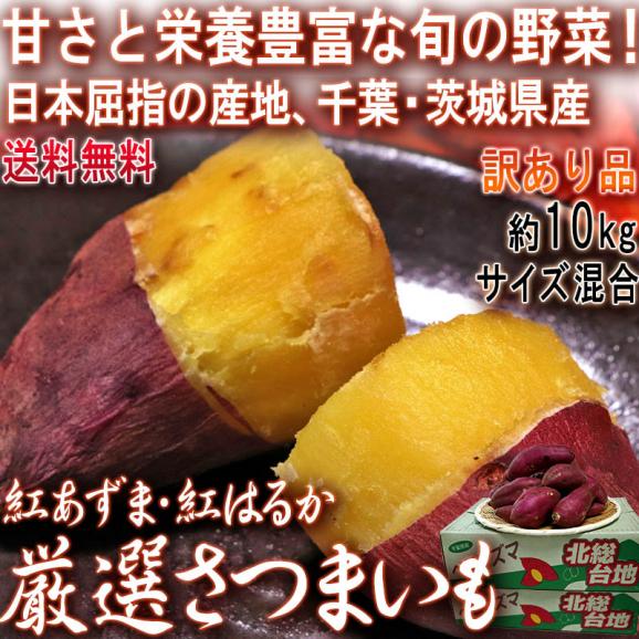紅あずま・紅はるか・紅ゆうか さつまいも 約10kg 千葉県・茨城県産 訳あり品 濃厚な味と栄養豊富な旬の野菜！甘み溢れる薩摩芋をお届け02