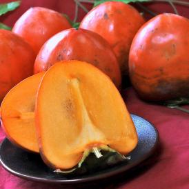 蜂屋柿 甲州百目 約5kg 10～18玉 福島県産 訳あり品 富士柿と同一品種の特大フルーツ！お得な価格でまろやかな甘さ