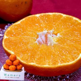 甘平 かんぺい 温室栽培 約2.5kg M～4Lサイズ 愛媛県産 贈答規格 JA共撰品 秀品 加温栽培で丁寧に育てた濃厚な味と甘さのギフトフルーツ！