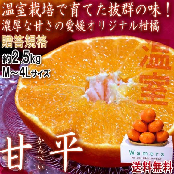 甘平 かんぺい 温室栽培 約2.5kg M～4Lサイズ 愛媛県産 贈答規格 JA共撰品 秀品 加温栽培で丁寧に育てた濃厚な味と甘さのギフトフルーツ！02