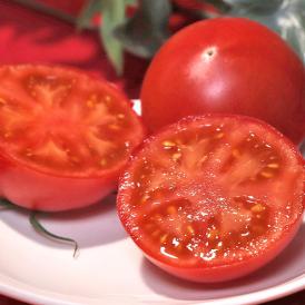 土佐まほろばトマト 約2kg 15～22玉 高知県産 贈答規格 こだわりの栽培で濃厚な味と甘さのフルーツトマト！