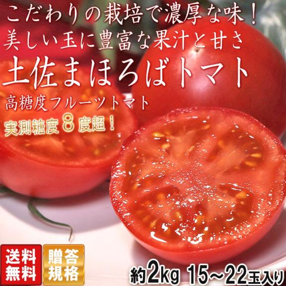 土佐まほろばトマト 約2kg 15～22玉 高知県産 贈答規格 こだわりの栽培で濃厚な味と甘さのフルーツトマト！02