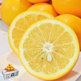 マイヤーレモン 国産レモン 約5kg L〜3Lサイズ 熊本県産  甘味のあるまろやかな酸味で生食が出来るブランド果物！