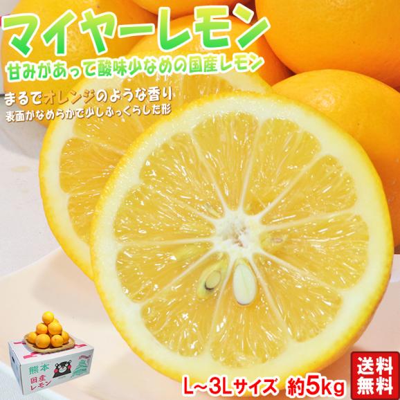 マイヤーレモン 国産レモン 約5kg L〜3Lサイズ 熊本県産 甘味のあるまろやかな酸味で生食が出来るブランド果物!02