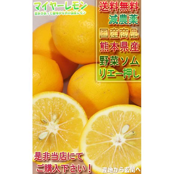 マイヤーレモン 国産レモン 約5kg L〜3Lサイズ 熊本県産 甘味のあるまろやかな酸味で生食が出来るブランド果物!06