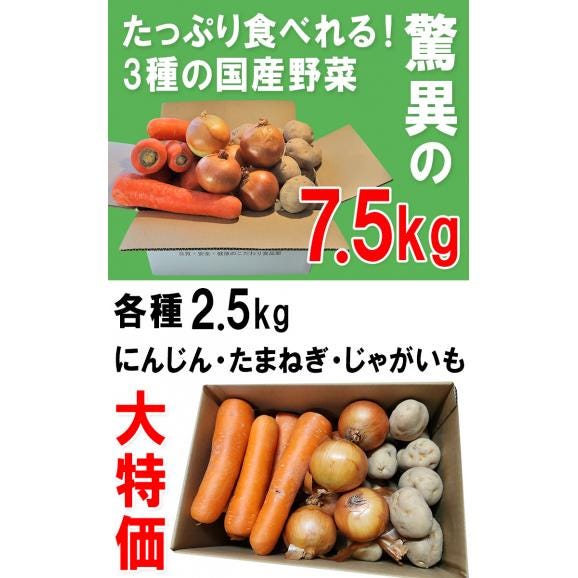 国産野菜セット 3種 ニンジン 玉ねぎ じゃがいも 各種約2.5kg 総重量 約7.5kg 盛り合わせ じゃが芋 たまねぎ にんじん 万能野菜セット03
