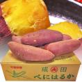 紅はるか 特大さつまいも 約10kg L～3Lサイズ 千葉県・茨城県産 お得用 家庭用限定 産地箱入り しっとり系の濃厚な甘さの紅はるか！
