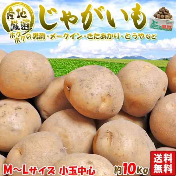 厳選国産じゃがいも 約10kg M〜Lサイズ 国産 日本全国より旬のジャガイモをお届け！ ポテト02