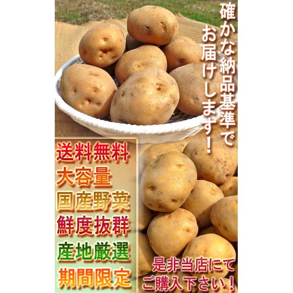 厳選国産じゃがいも 約10kg M〜Lサイズ 国産 日本全国より旬のジャガイモをお届け！ ポテト06