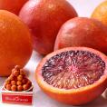ブラッドオレンジ モロ・タロッコ種 約5kg 小玉中心 愛媛県産 訳あり品 鮮やかな果肉に濃厚な甘さと爽やかな風味の国産オレンジ！