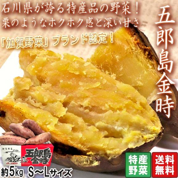 五郎島金時 さつまいも 約5kg 石川県産 JA共撰品 地域ブランドの薩摩芋！ホクホクとした食感に上品な甘さ02