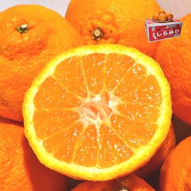 送料無料 温州みかんに次ぐ出荷量の人気柑橘、不知火をお届け！