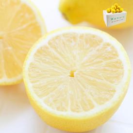 イエローレモン 約5kgM〜2Lサイズ 愛媛県産・熊本県産 皮まで食べれる香り豊かな国産レモン