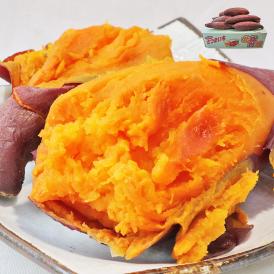 アヤコマチ さつまいも 約5kg 千葉県・茨城県産 かぼちゃのような鮮やかなオレンジ色のさつまいも！あやこまち オレンジ芋 にんじん芋 薩摩芋 野菜