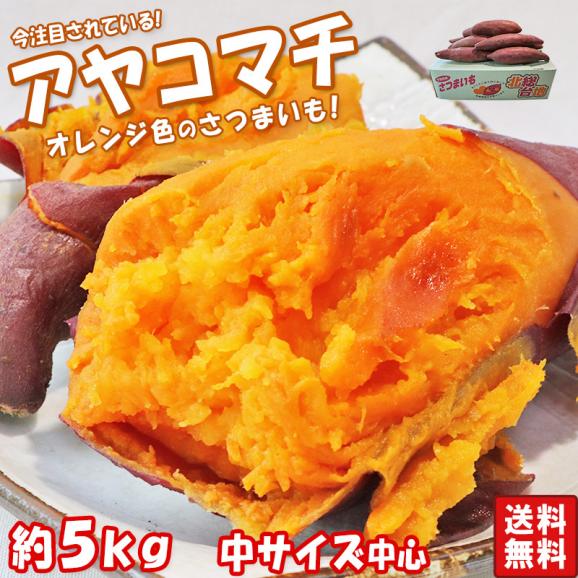 アヤコマチ さつまいも 約5kg 千葉県・茨城県産 かぼちゃのような鮮やかなオレンジ色のさつまいも！あやこまち オレンジ芋 にんじん芋 薩摩芋 野菜02