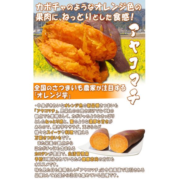 アヤコマチ さつまいも 約5kg 千葉県・茨城県産 かぼちゃのような鮮やかなオレンジ色のさつまいも！あやこまち オレンジ芋 にんじん芋 薩摩芋 野菜03