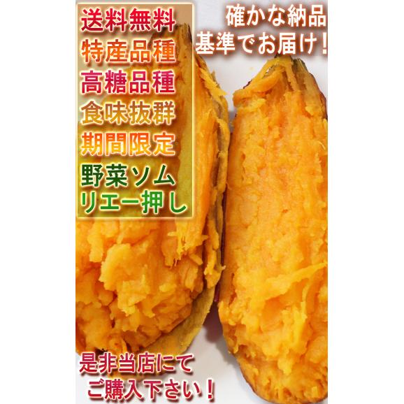 アヤコマチ さつまいも 約5kg 千葉県・茨城県産 かぼちゃのような鮮やかなオレンジ色のさつまいも！あやこまち オレンジ芋 にんじん芋 薩摩芋 野菜06