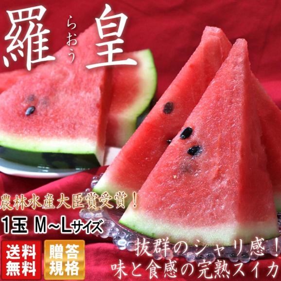 羅皇 らおう 完熟スイカ M～Lサイズ 1玉入り 熊本県産 贈答規格 農林水産大臣賞受賞の赤肉西瓜！溢れる甘さとシャリ感02