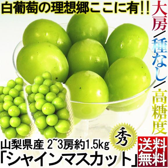 シャインマスカット ぶどう 山梨 長野 岡山など産地厳選 2～3房 約1.5kg 種なし葡萄 大房 秀品 化粧箱入り 贈答品 TVでも話題・最高級の大粒ブドウ02