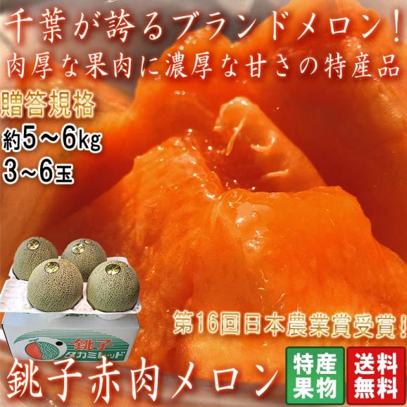銚子メロン 赤肉厳選 約5～6kg 3～6玉 千葉県産 贈答規格 大玉限定 クインシー・タカミレッドなど 緻密な果肉に濃厚な甘さ！第16回日本農業賞受賞のブランド果物02