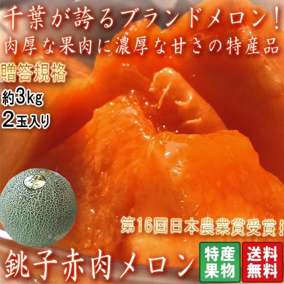 銚子メロン 赤肉厳選 約3kg 2玉入り 千葉県産 贈答規格 大玉限定 クインシー・タカミレッドなど 緻密な果肉に濃厚な甘さ！第16回日本農業賞受賞のブランド果物02