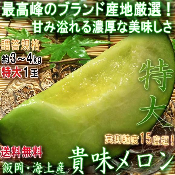 貴味メロン 特大サイズ 飯岡・海上産 約3～4kg 1玉入り 贈答規格 千葉県産 国内屈指のメロン産地で育てたギフト果物！濃厚な甘さと抜群の味02