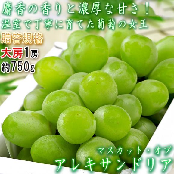 マスカット・オブ・アレキサンドリア 約750g 温室ぶどう 岡山県産 贈答規格 JA全農おかやま 秀品・化粧箱入り ギフト最適な大房の高級白葡萄！02