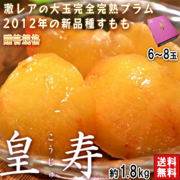 皇寿 こうじゅ 約1.8kg 6～8玉 極上プラム 化粧箱入り 山梨県産 贈答品 大玉中心 実測糖度17度以上！ 貴陽に似た新品種の完全完熟プラム 02